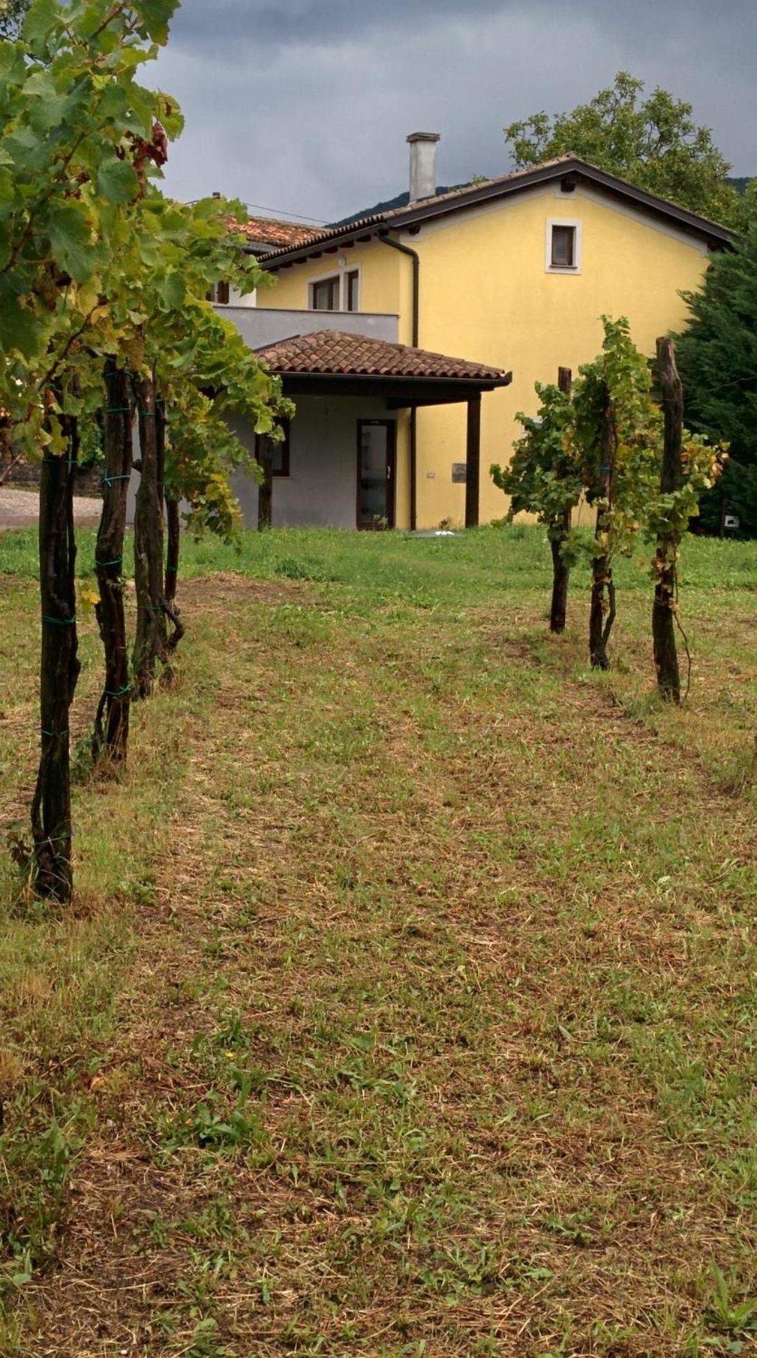 Small House In Vipava Valley Dış mekan fotoğraf